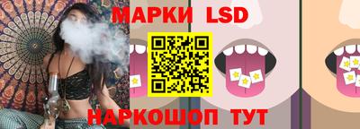 эйфоретик Бердск